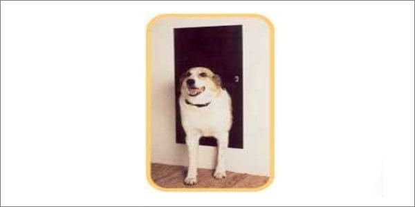 Solo Pet Door Automatic